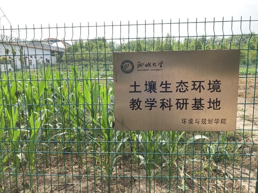 suncitygroup太阳集团