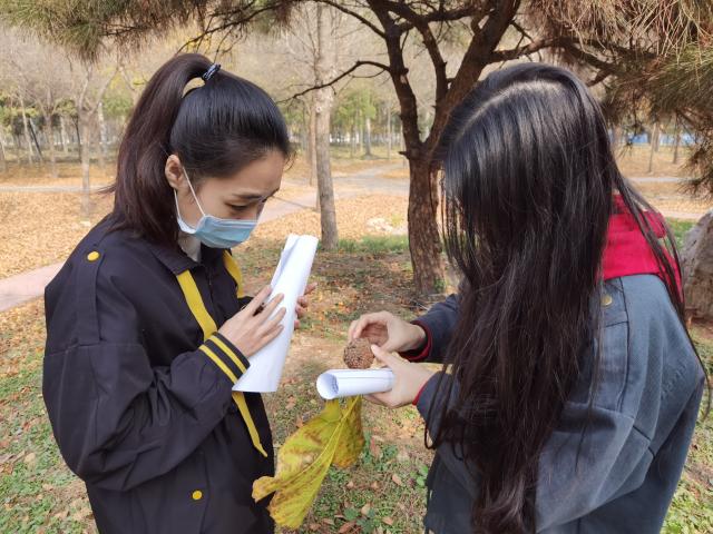 suncitygroup太阳集团