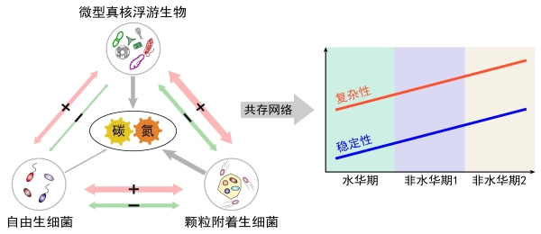 suncitygroup太阳集团