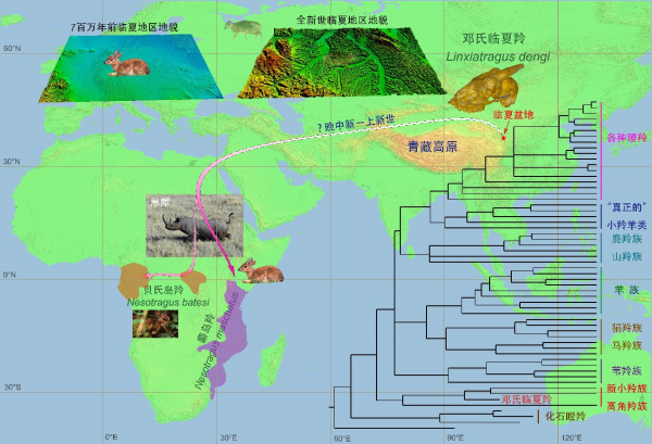suncitygroup太阳集团