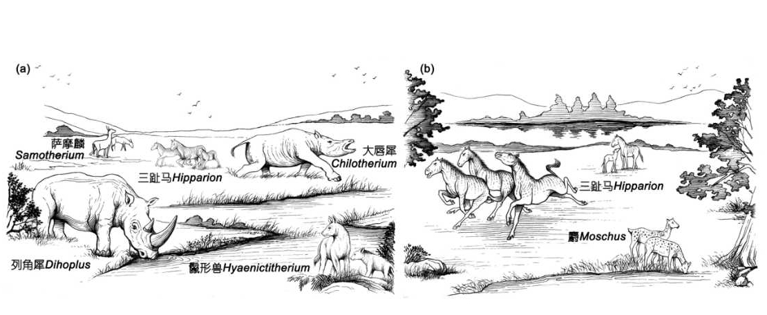 suncitygroup太阳集团