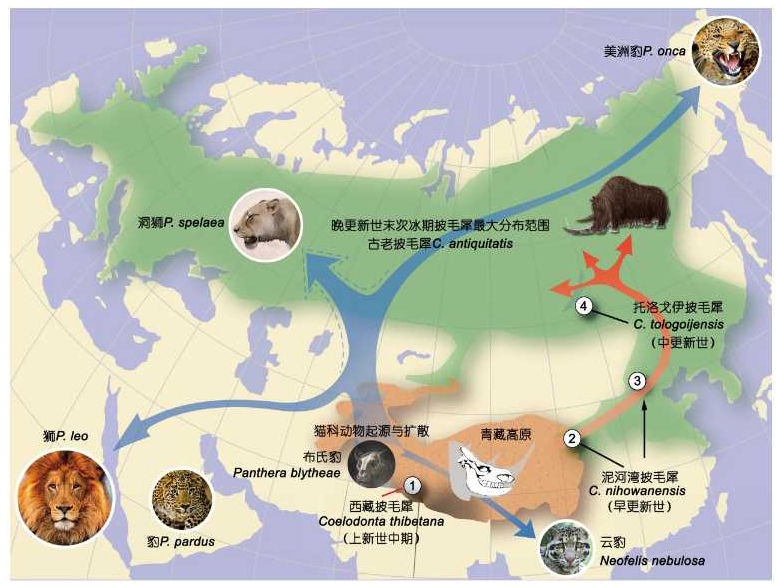 suncitygroup太阳集团