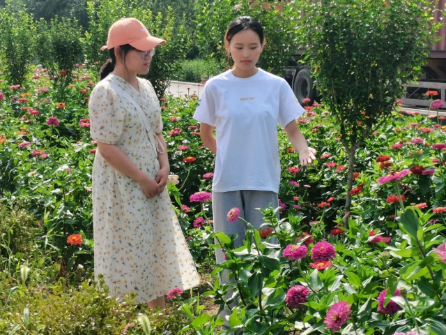 suncitygroup太阳集团