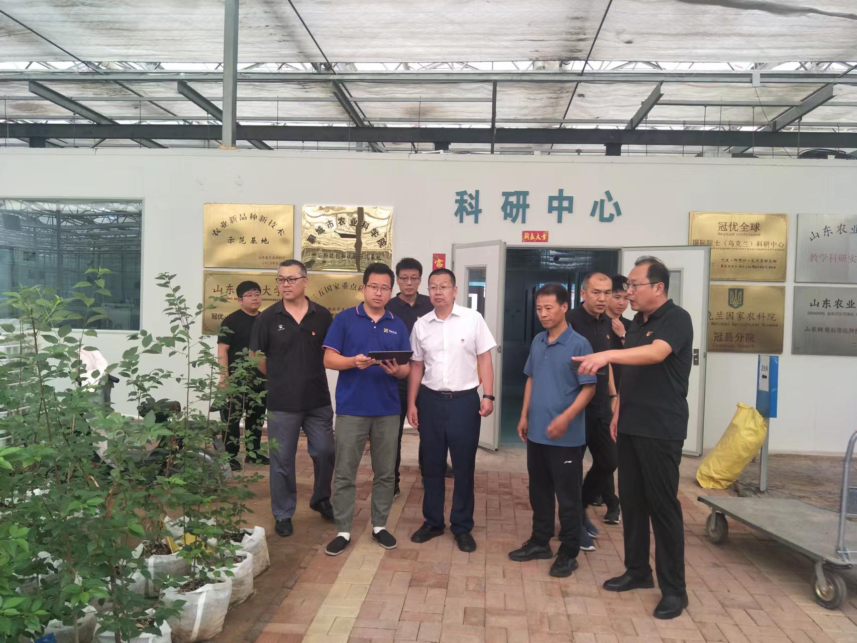 suncitygroup太阳集团