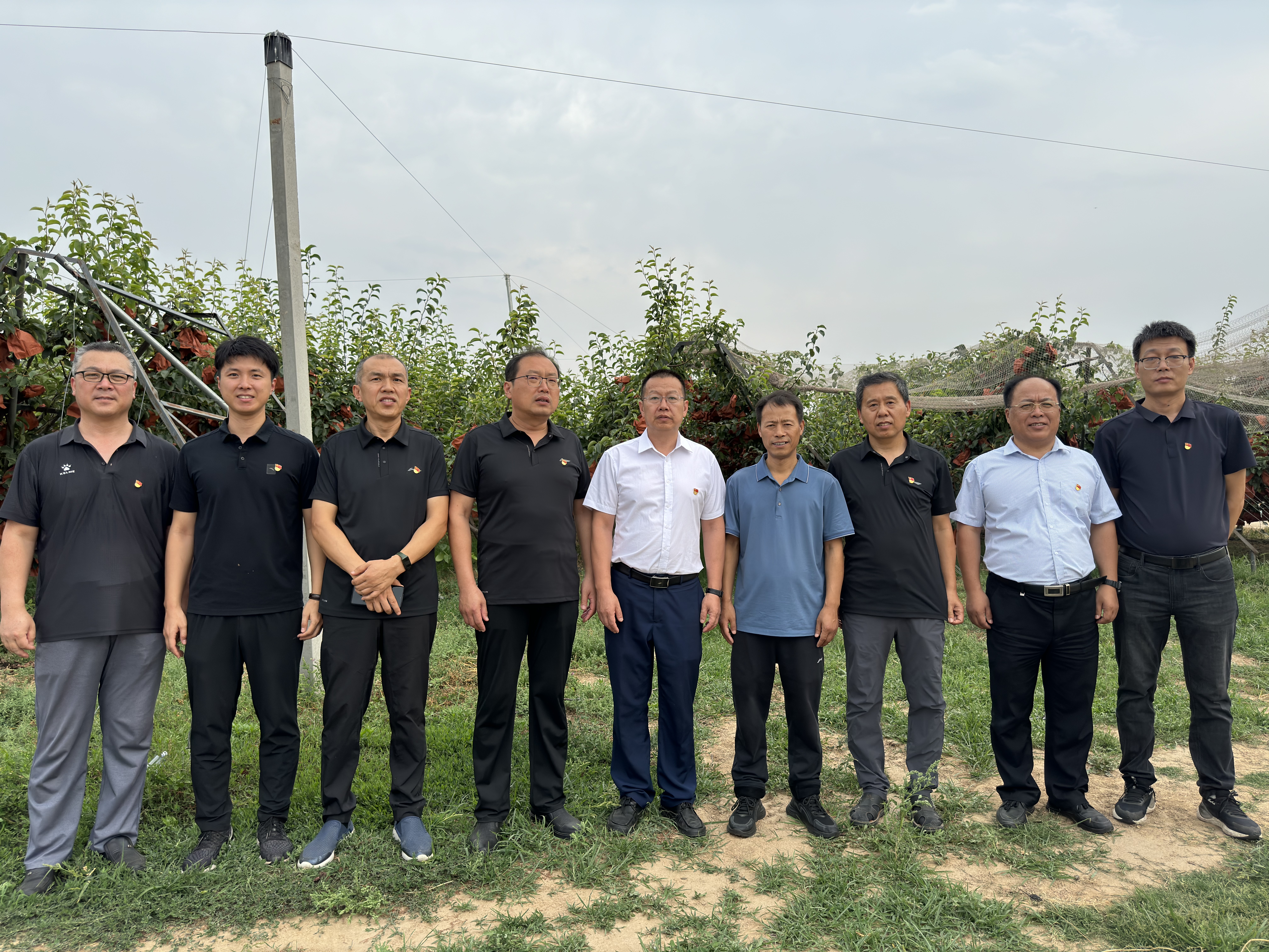 suncitygroup太阳集团